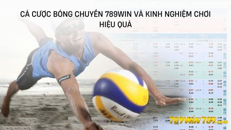 Cá cược bóng chuyền 789WIN và kinh nghiệm chơi hiệu quả