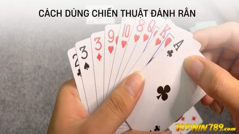 Cách dùng chiến thuật đánh rắn