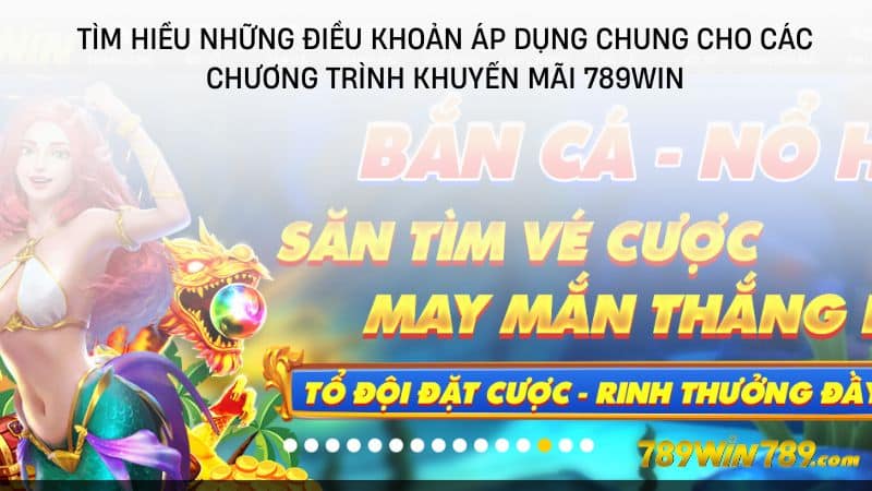 Tìm hiểu những điều khoản áp dụng chung cho các chương trình khuyến mãi 789WIN