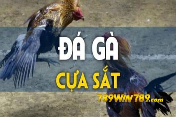 789WIN - Đá Gà Cựa Sắt - Cơ Hội Kiếm Tiền Không Nên Bỏ Qua