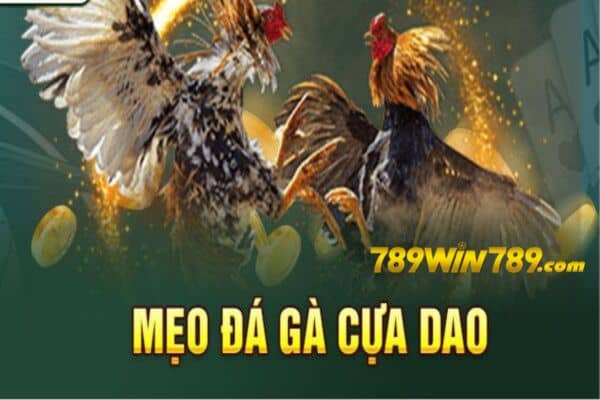 Mẹo chơi đá gà cựa dao nhanh thắng