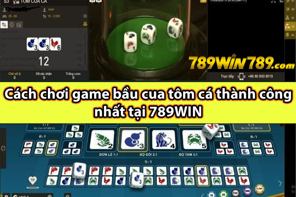 Cách chơi game bầu cua tôm cá thành công nhất tại 789WIN 