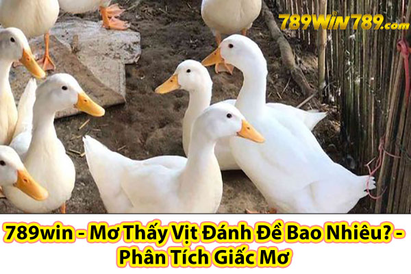 789win - Mơ Thấy Vịt Đánh Đề Bao Nhiêu? - Phân Tích Giấc Mơ