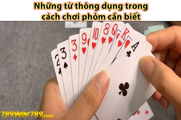 Những từ thông dụng trong cách chơi phỏm cần biết 